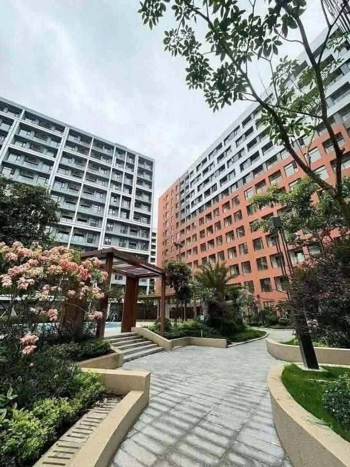 ‼️  Magical World Condo - #အလွှာနိမ့်_Viewရ အခန်း​​ရောင်းမည်  ‼️
