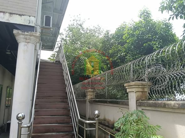 #လှိုင်မြို့နယ်_အေးရိပ်မွန်အိမ်ရာ_အေးရိပ်မွန်လမ်းမပေါ်ရှိ #ခြံကျယ်လုံးချင်းအိမ်ငှားမည်...
